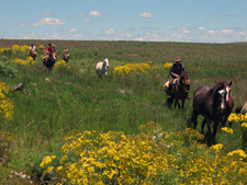 Brazil-Santa Catarina-Gaucho Pampas Trail Brazil